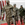 Military People Walking on Red Carpet