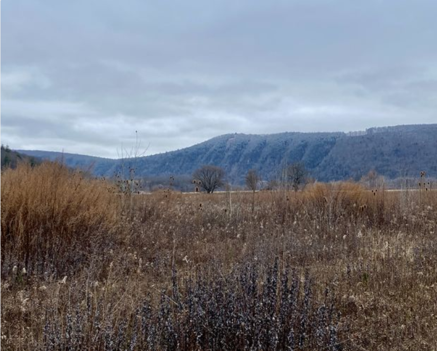 Screenshot 2025-06-05 093109