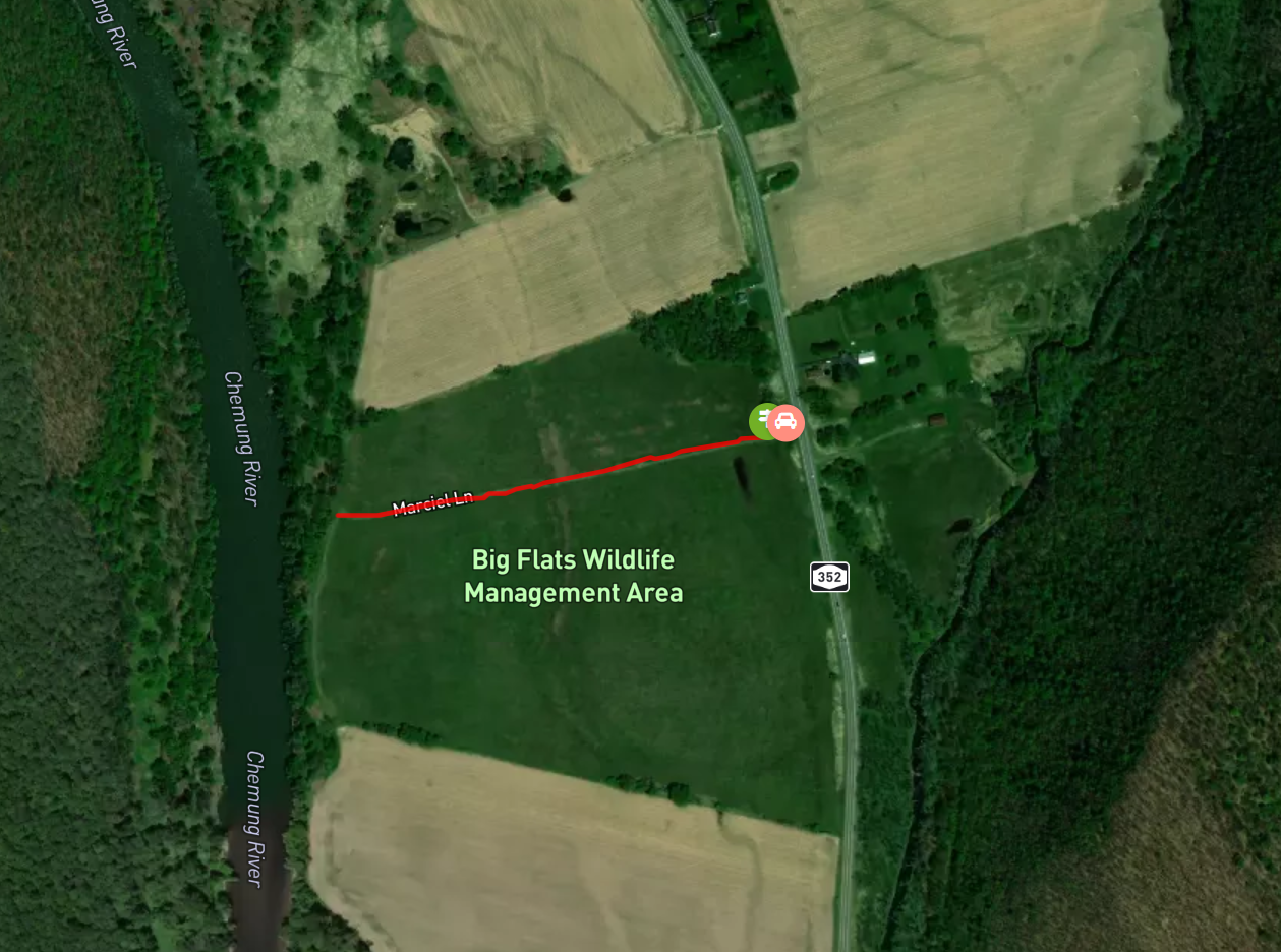 Screenshot 2025-06-05 095634