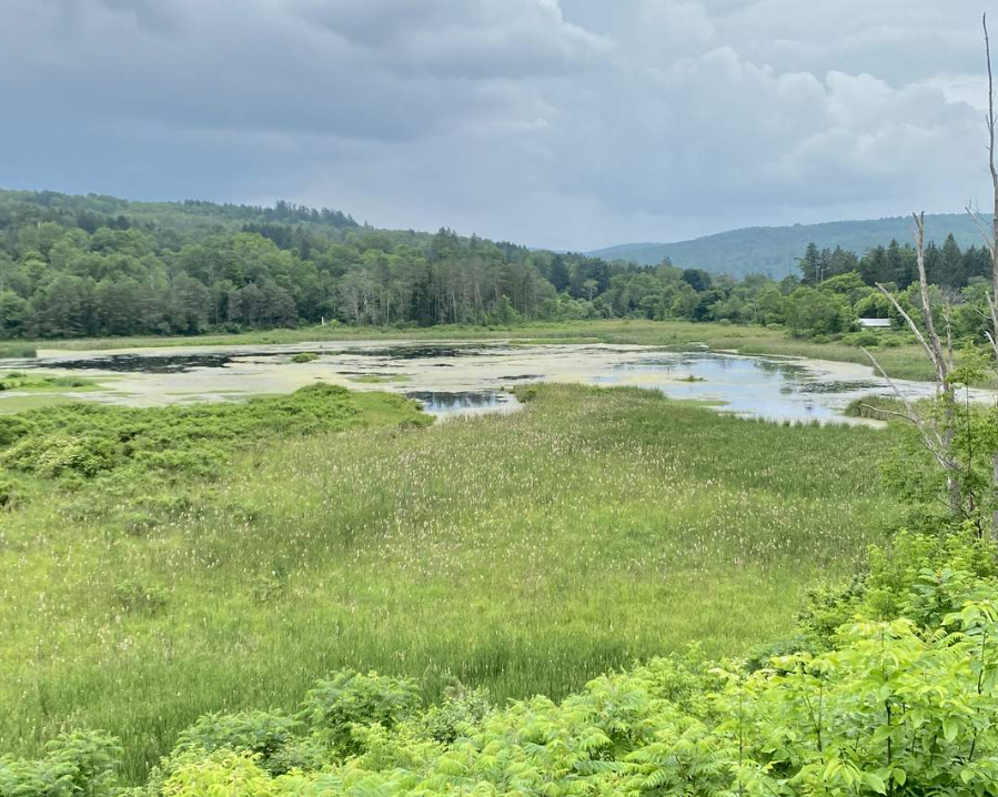 Screenshot 2025-06-05 100146