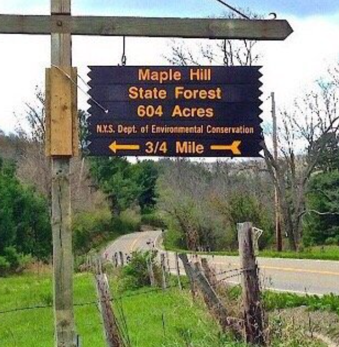 Screenshot 2025-06-05 130545