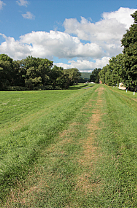 Screenshot 2025-06-06 091135