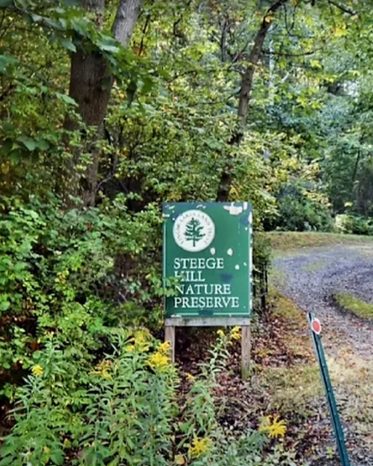 Screenshot 2025-06-06 095639