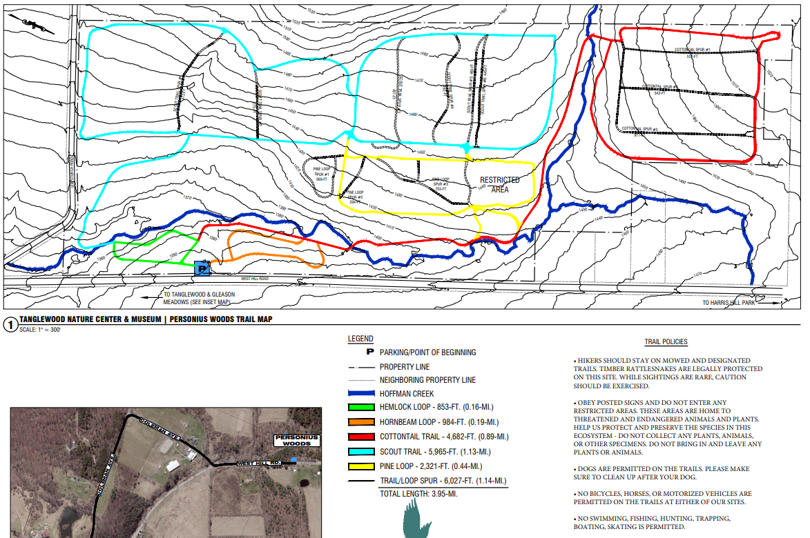 Screenshot 2025-06-06 102859