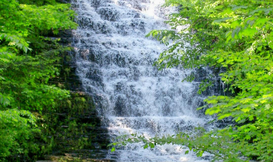 Screenshot 2025-06-06 112655