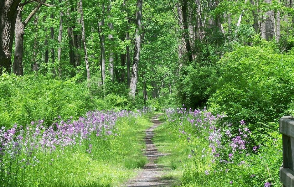 Screenshot 2025-06-09 093731