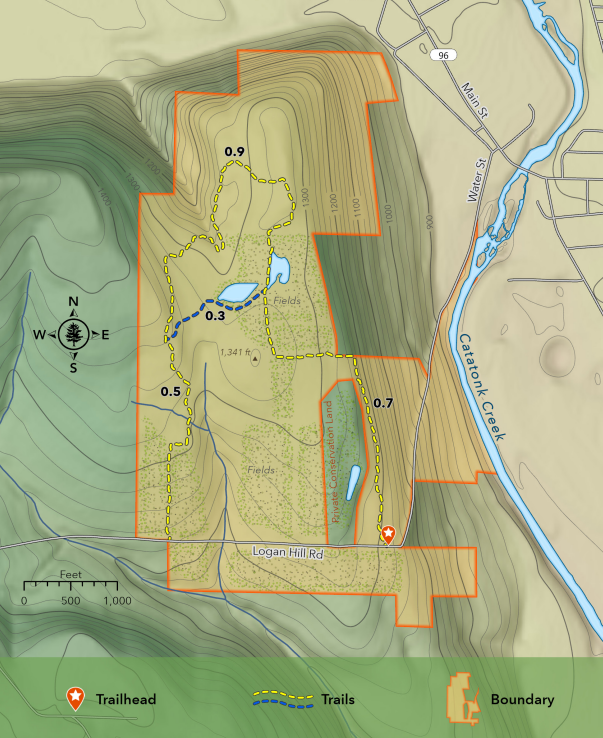 Screenshot 2025-06-23 132601