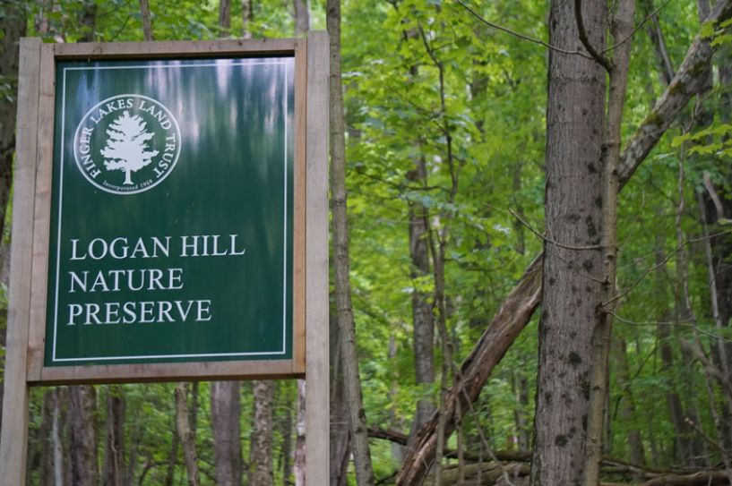 Screenshot 2025-06-23 132652