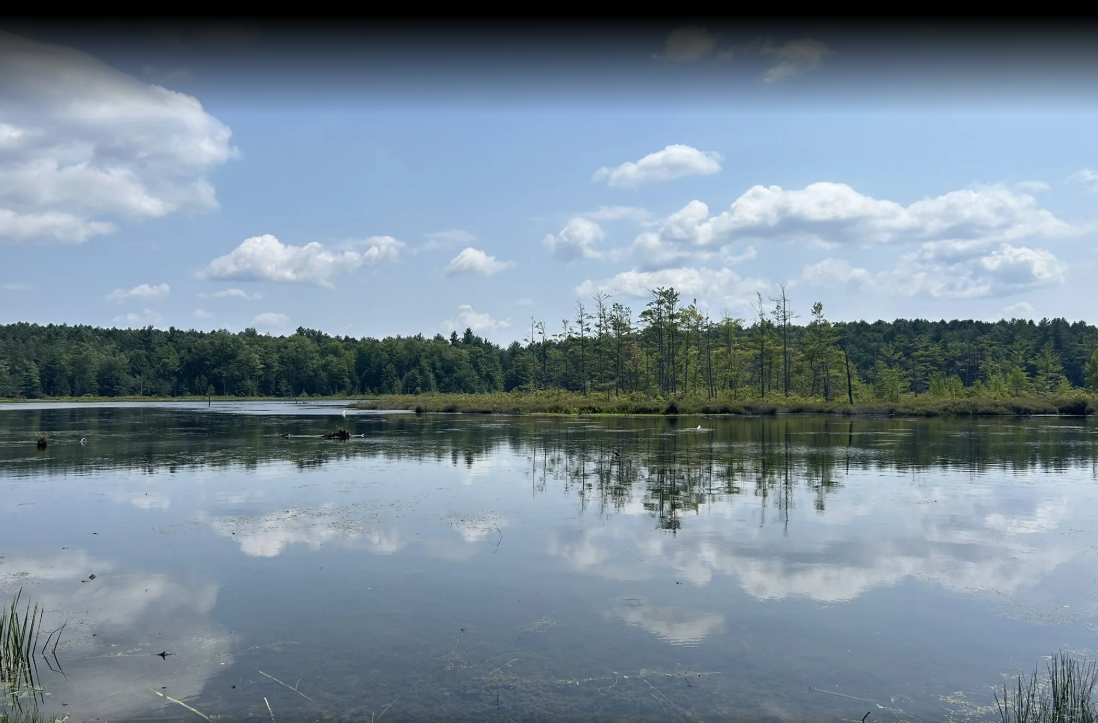 Screenshot 2025-06-23 134222