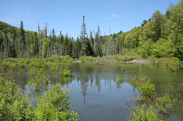 Screenshot 2025-06-23 140827