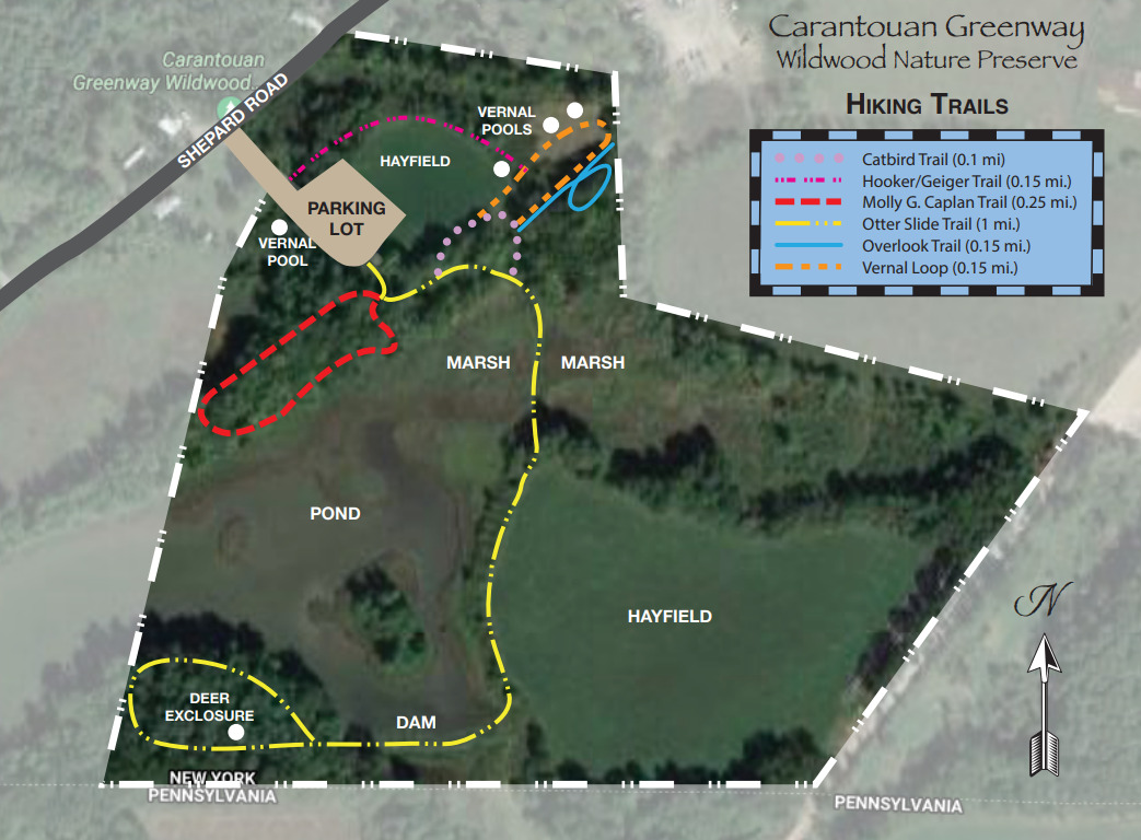 Screenshot 2025-06-23 142700