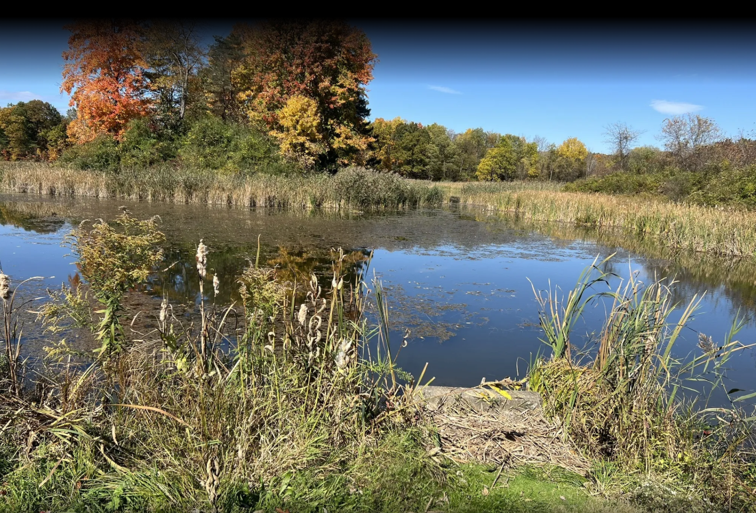 Screenshot 2025-06-23 142916