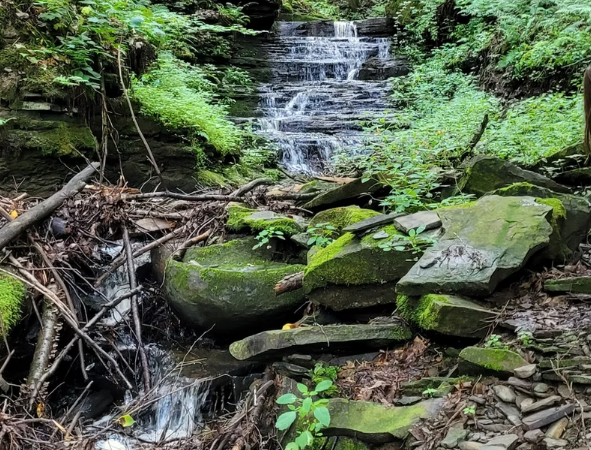 Screenshot 2025-06-23 144711