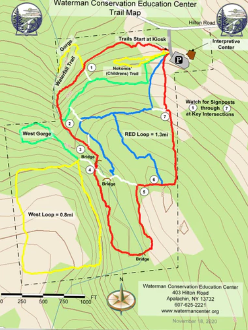 Screenshot 2025-06-23 144934