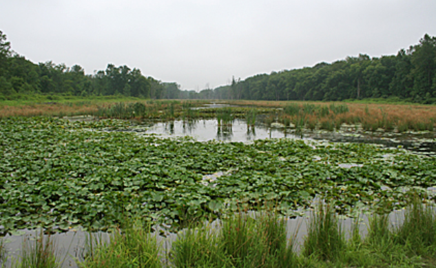 Screenshot 2025-06-23 152939