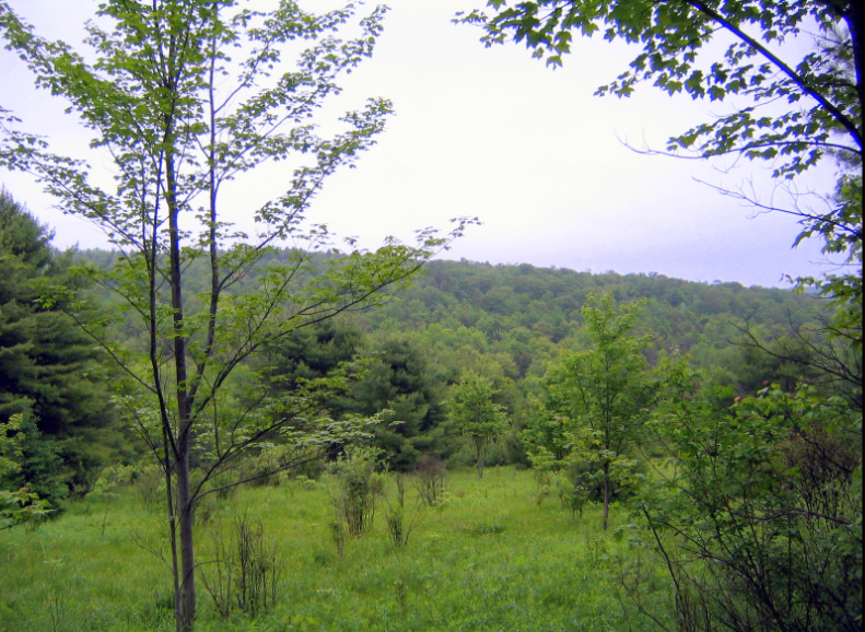 Screenshot 2025-06-23 155226