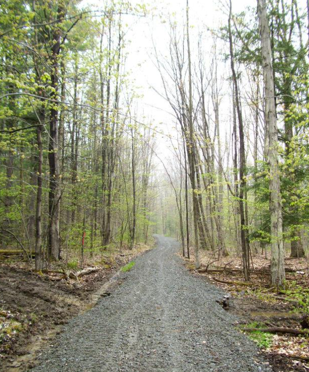 Screenshot 2025-06-24 105025