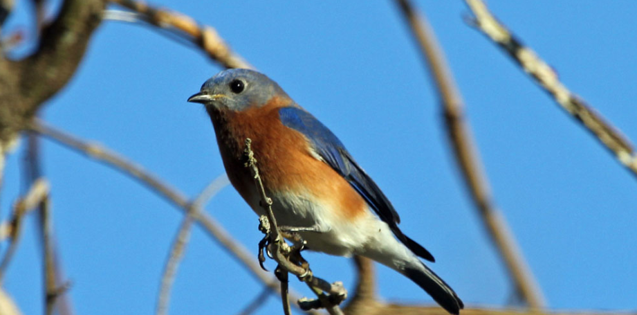 Screenshot 2025-06-24 144022