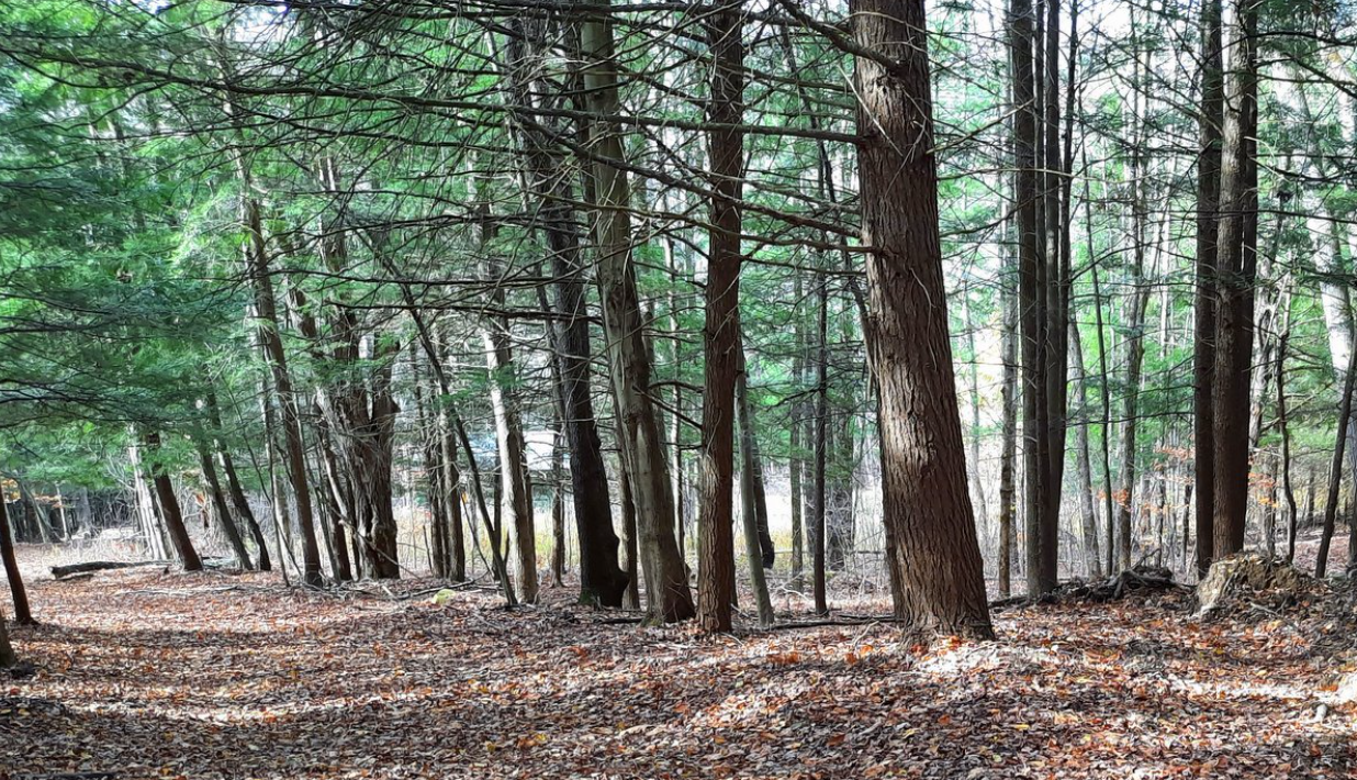 Screenshot 2025-06-24 145328