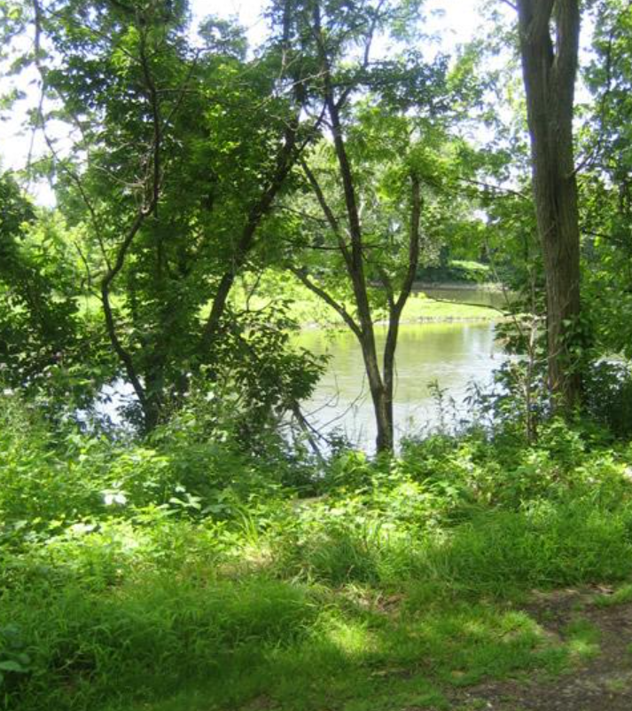 Screenshot 2025-06-24 150747