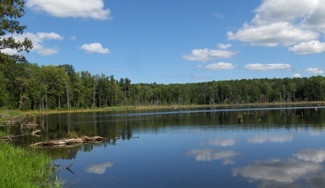 Screenshot 2025-06-24 152742