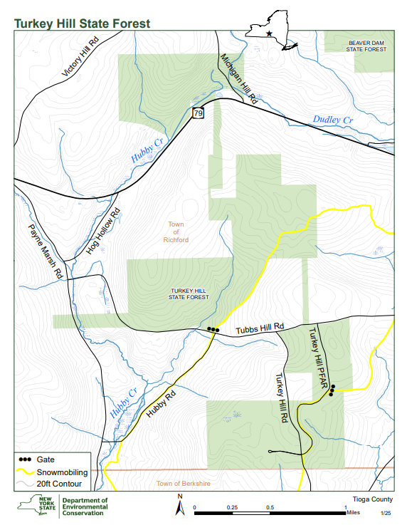 Screenshot 2025-06-24 153419