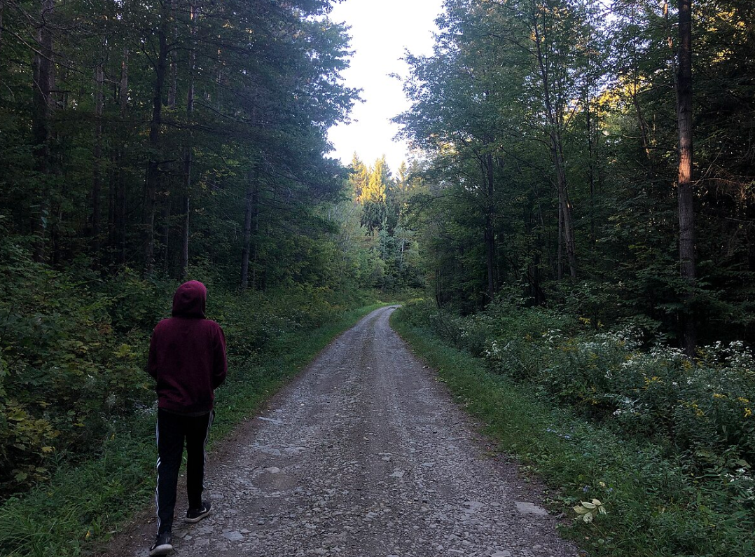 Screenshot 2025-06-24 153451