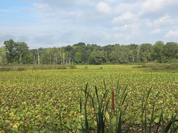 Screenshot 2025-06-24 160309