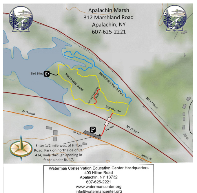 Screenshot 2025-06-24 160244