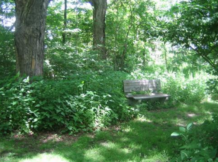 Screenshot 2025-06-25 153729