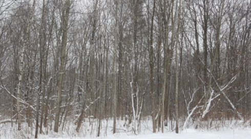 Screenshot 2025-06-26 143007