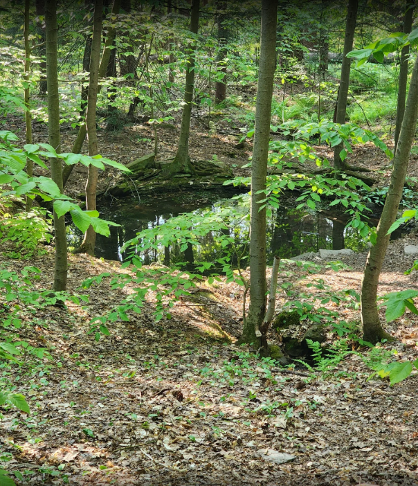 Screenshot 2025-06-27 140000