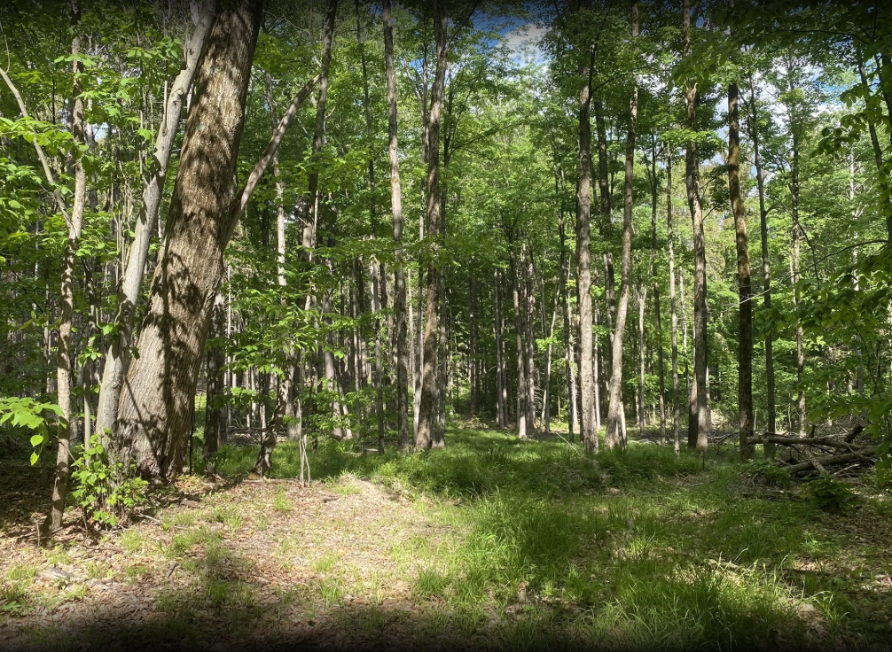 Screenshot 2025-06-27 142206