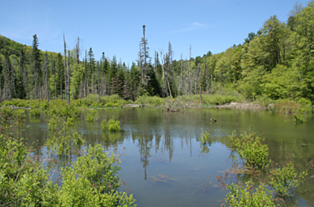 Screenshot 2025-06-27 143420