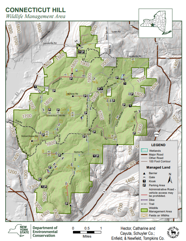 Screenshot 2025-06-27 155811