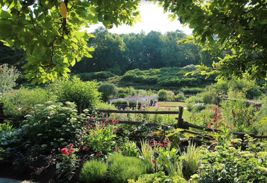 Screenshot 2025-06-30 155317