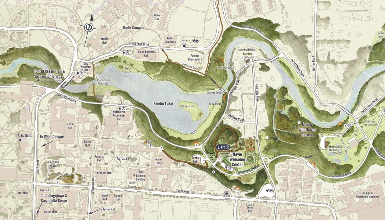 Screenshot 2025-07-01 093019