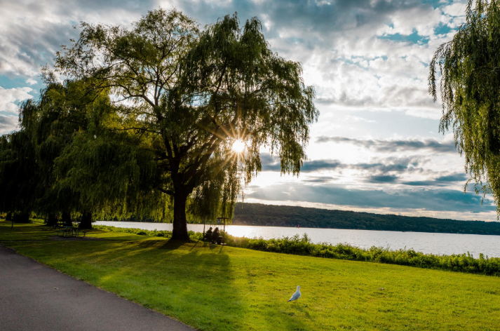 Screenshot 2025-07-01 130915