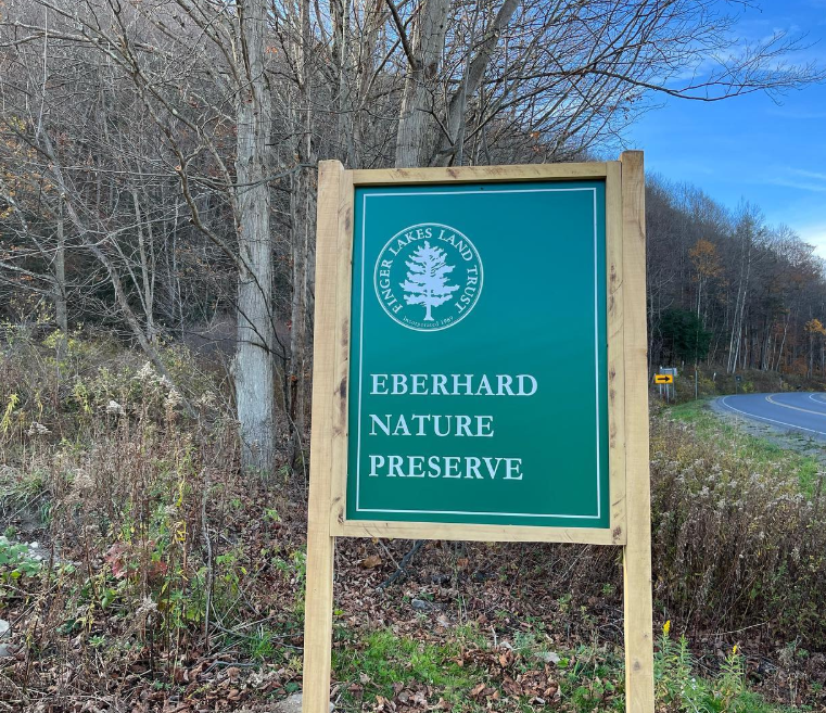 Screenshot 2025-07-01 143758