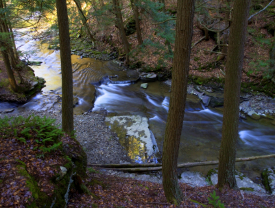 Screenshot 2025-07-02 091331