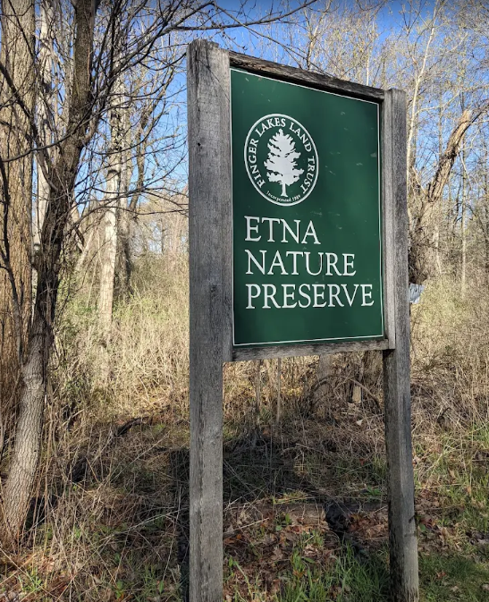 Screenshot 2025-07-02 110220