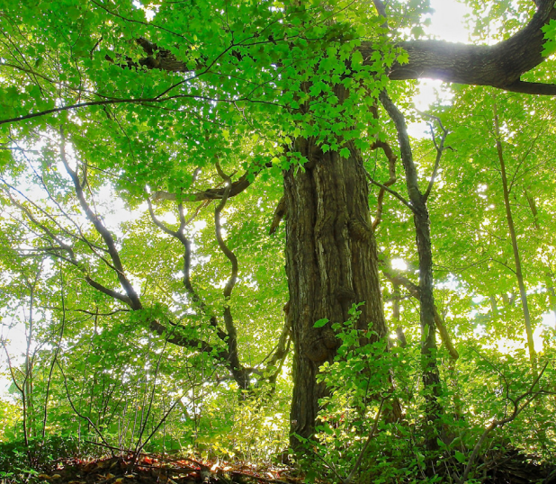 Screenshot 2025-07-02 112423