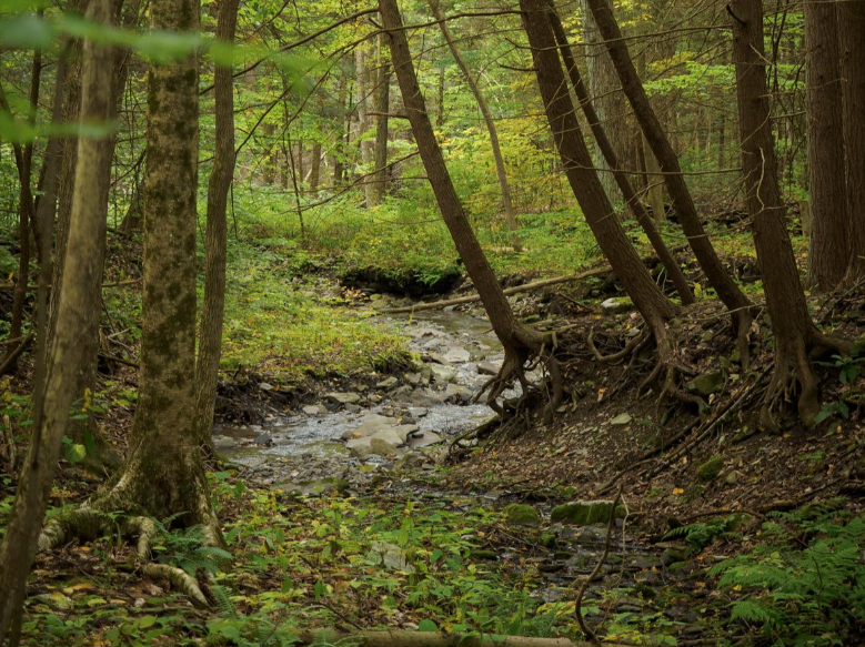 Screenshot 2025-07-02 131408