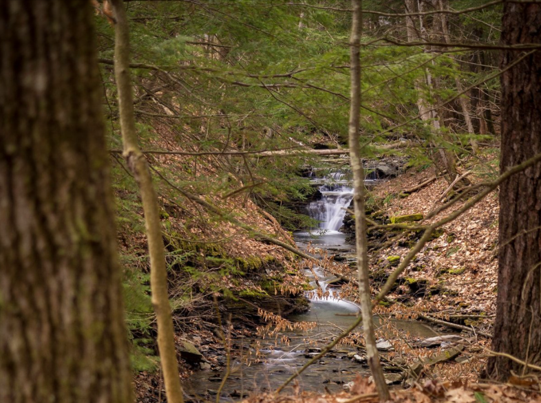 Screenshot 2025-07-02 142604