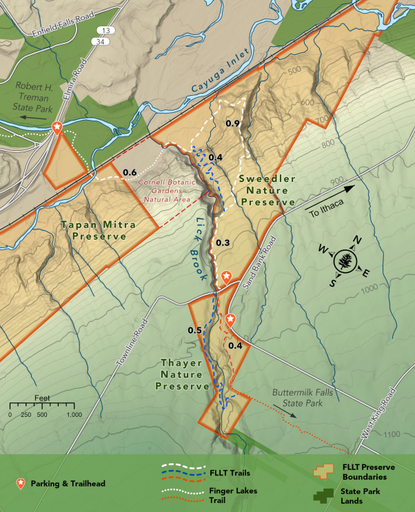 Screenshot 2025-07-02 144659