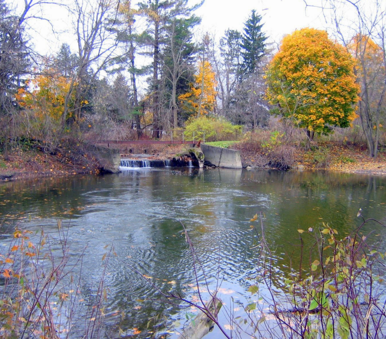 Screenshot 2025-07-02 155517