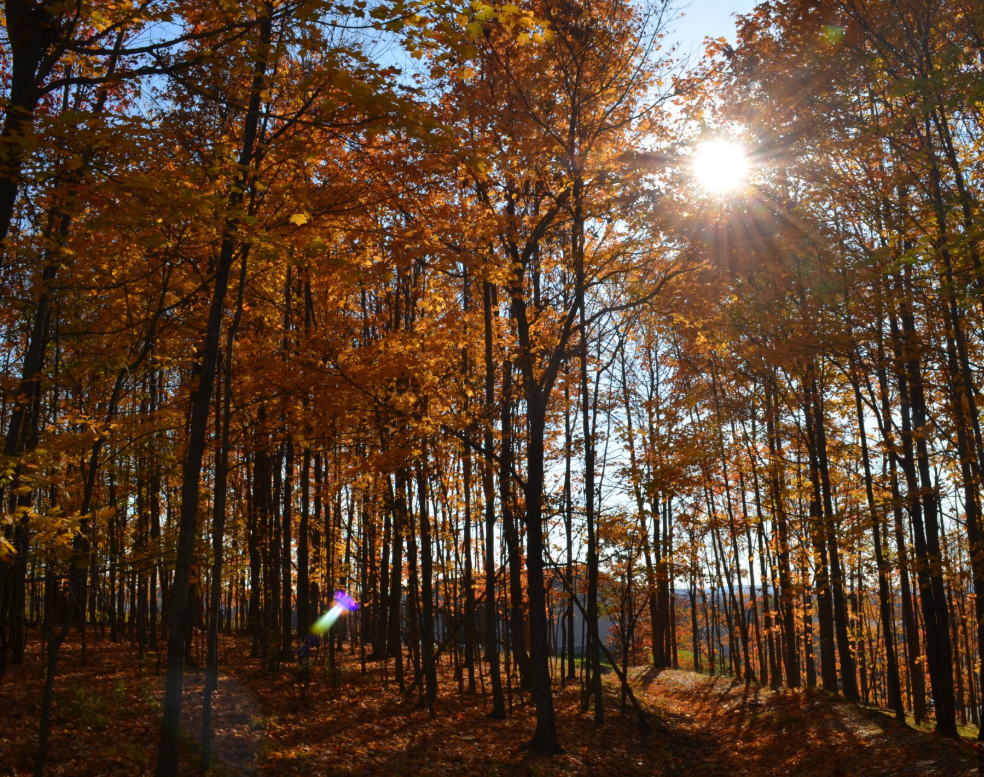 Screenshot 2025-07-02 160607