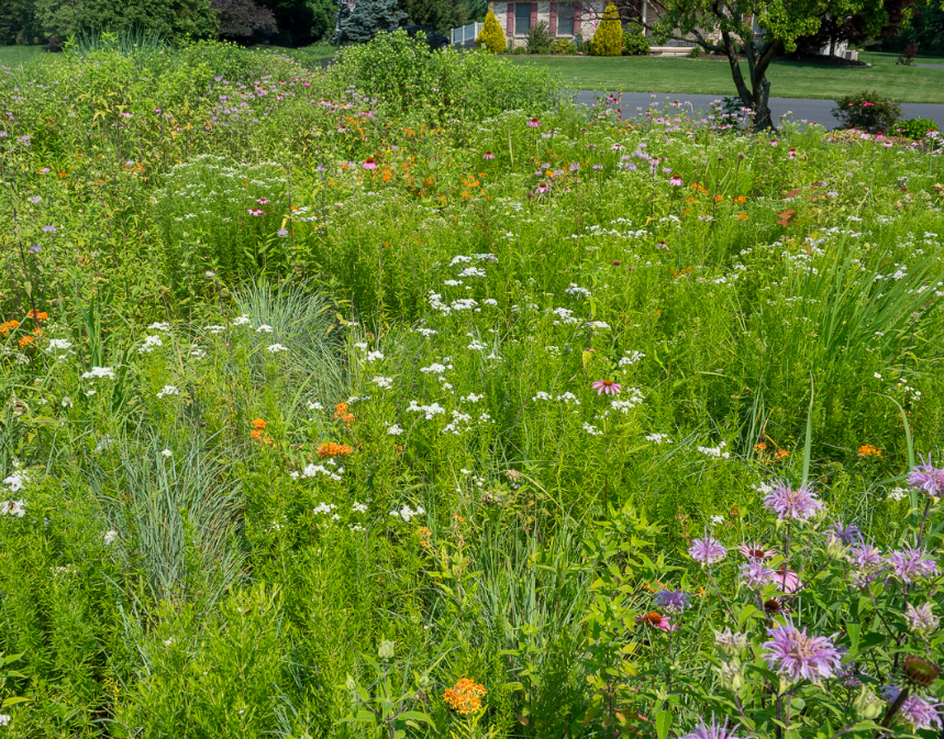 Screenshot 2025-07-02 161202