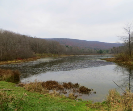 Screenshot 2025-07-15 083935