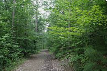 Screenshot 2025-07-15 085902